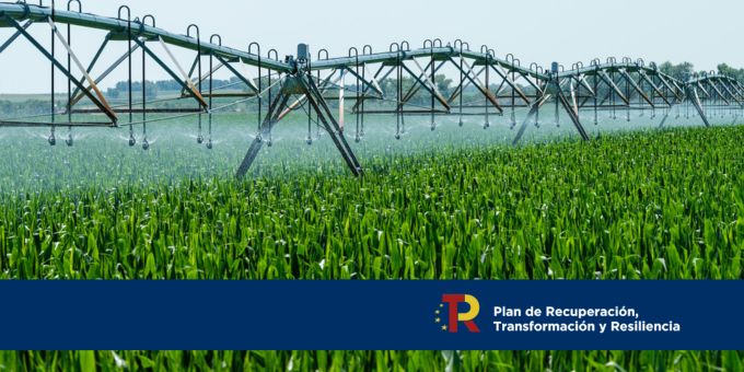 Transición Ecológica adjudica provisionalmente 74 millones en la primera convocatoria para la digitalización de comunidades de usuarios de agua para regadío 7 - Nexonova
